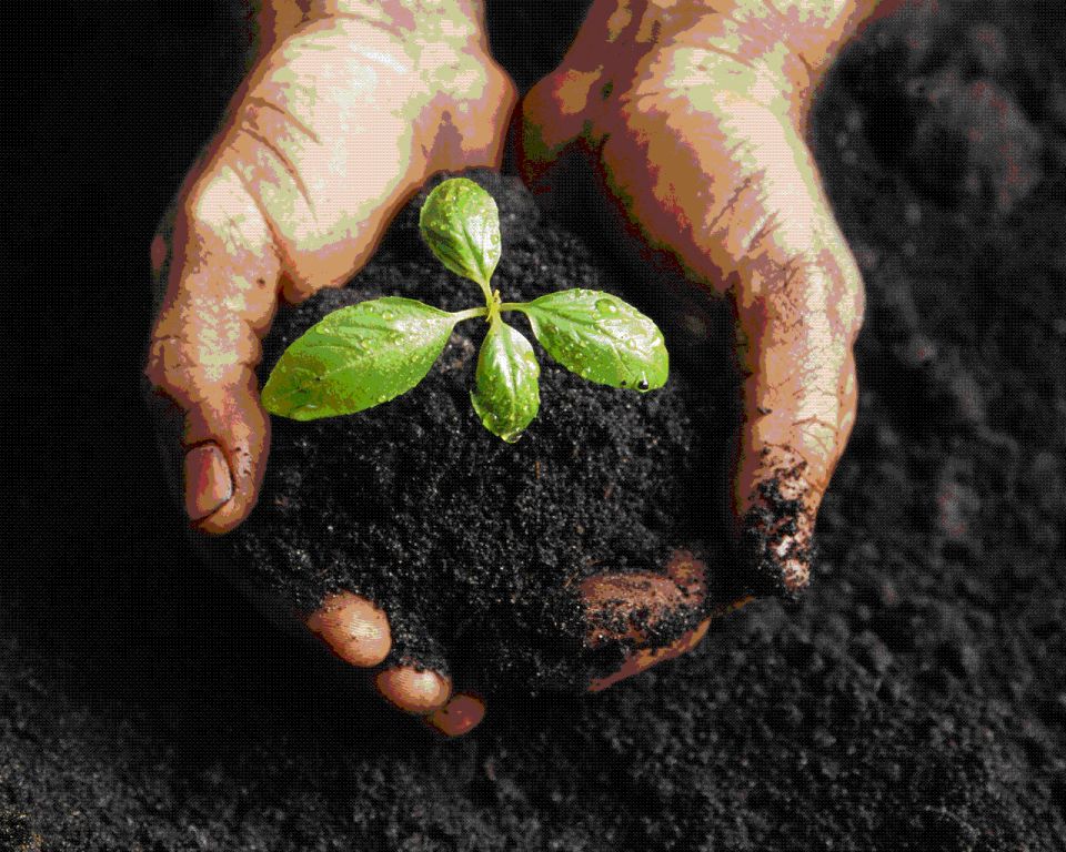 Proteger el medio ambiente. Una tarea de todos